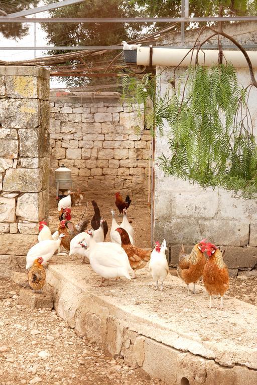 Masseria Curatori Monopoli Zewnętrze zdjęcie